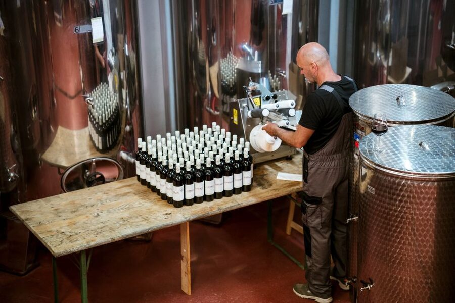 Pelješac wine tasting and local winery visit - Local food makes the tasting feel complete