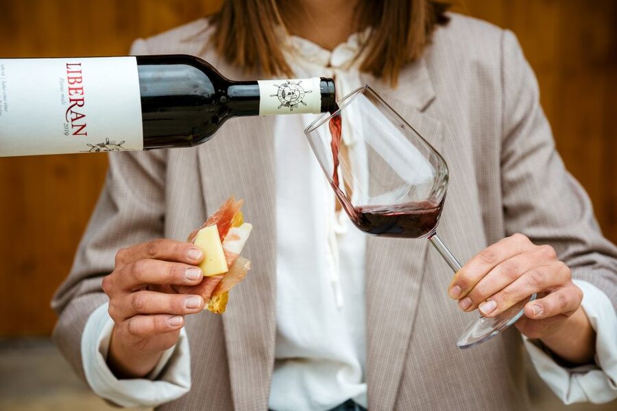 Pelješac wine tasting and local winery visit - What $43 gets you