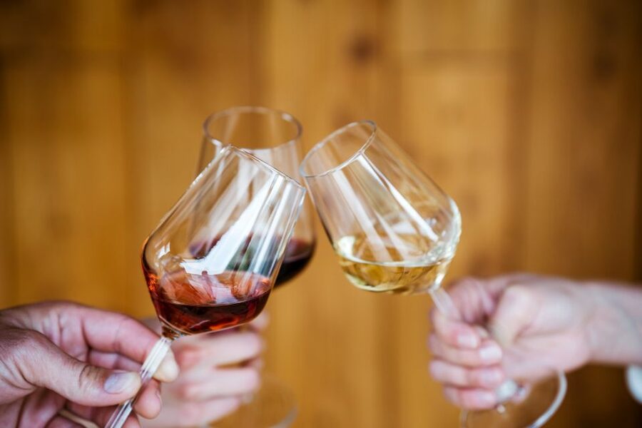 Pelješac wine tasting and local winery visit - Timing, cancellation, and planning tips