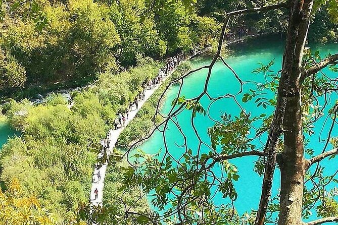 Plitvice Lakes Day Tour from Zadar, Simple and Safe - What the guide does well, and what is missing
