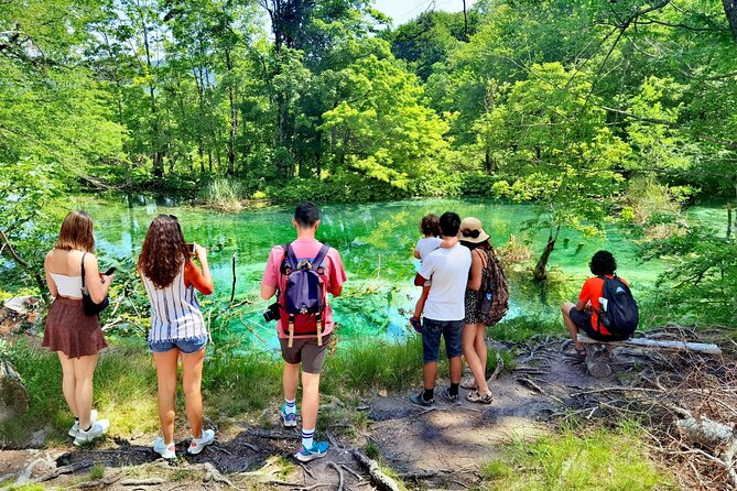 Plitvice Lakes Guided tour with Entrance ticket included - Four hours among lakes, falls, and wooden paths