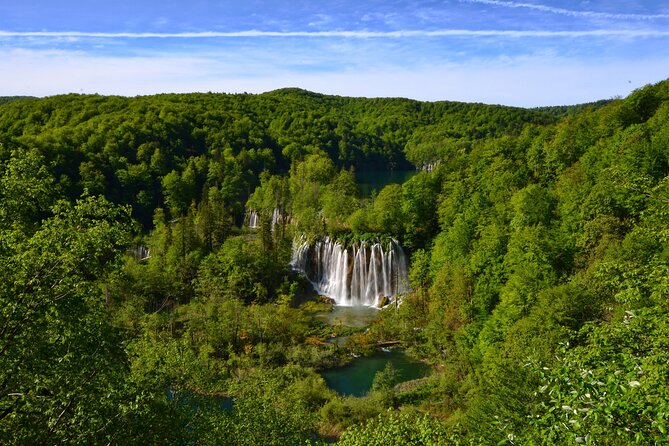 Plitvice Lakes National Park Admission Ticket - Forest details and memorials along the way