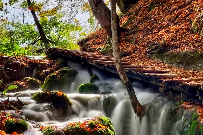 Plitvice Lakes National Park - private day-trip from Zagreb - Four hours among the Plitvice waterfalls