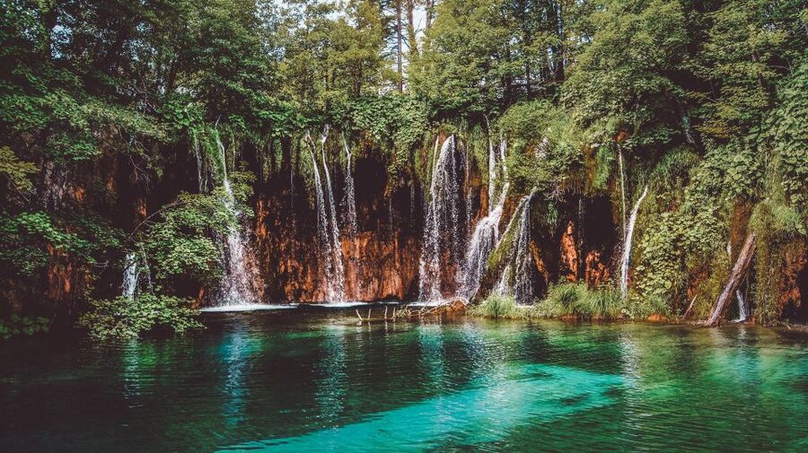 Plitvice Lakes National Park: Private Tour from Zadar - Who should book this Plitvice tour?