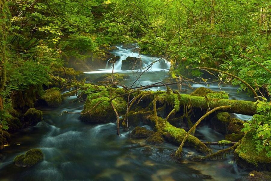 Plitvice Lakes Private Guided Tour - What the guide adds to the experience