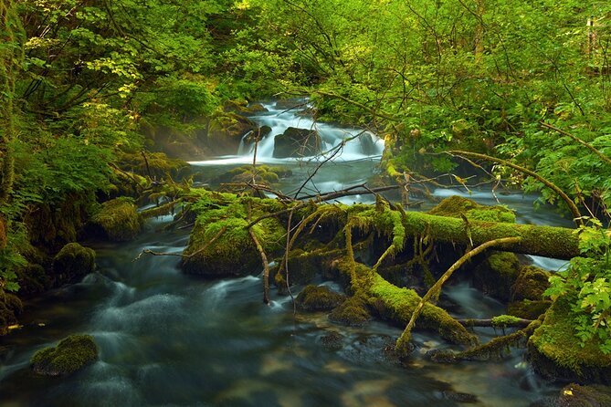 Plitvice Lakes Private Guided Walking Tour - Lower Lakes: the dramatic introduction
