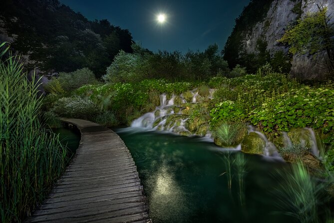 Plitvice Lakes Private Guided Walking Tour - Crowds, queues, and the skip-the-line question