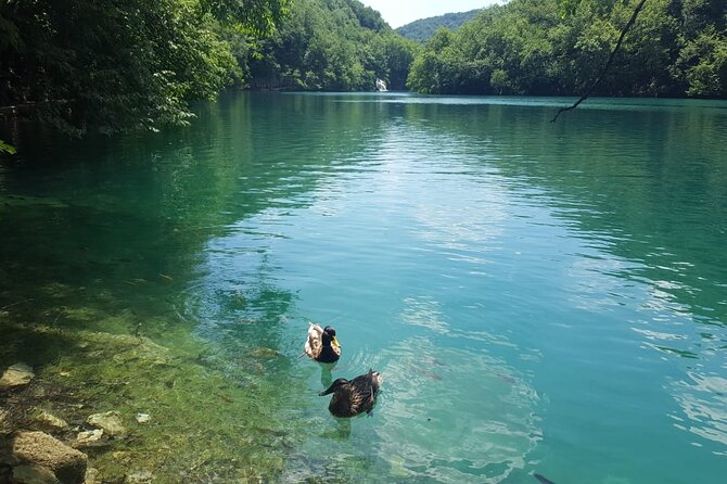 Plitvice Lakes Small Group Tour Ecco from Split or Trogir - Key points to know before booking
