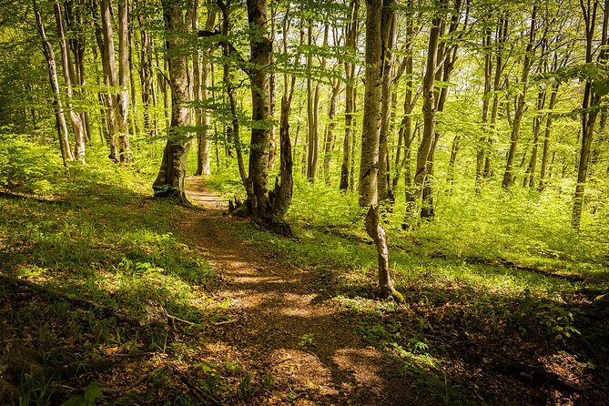Plitvice Lakes Tour from Split with Entrance Ticket included - Why Plitvice Lakes makes a worthwhile day trip from Split