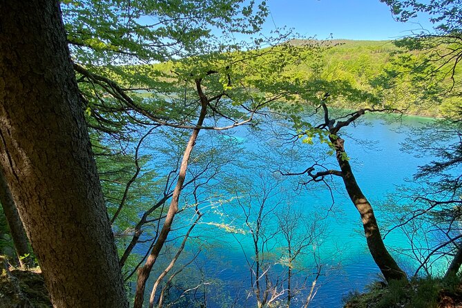 Plitvice private tour driver + guide up to 8 ppl from Zadar - What the Walking Requirement Really Means