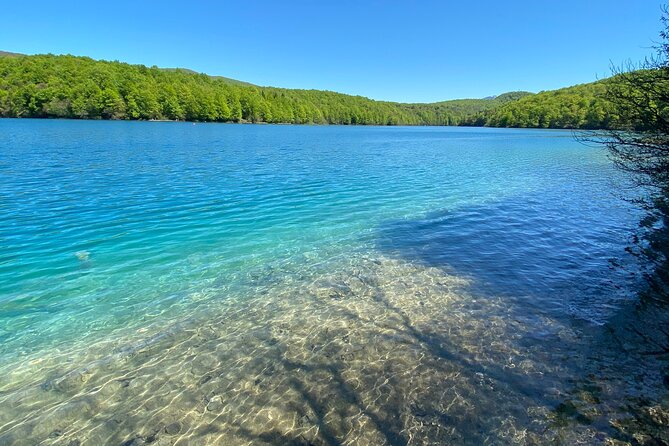 Plitvice private tour driver + guide up to 8 ppl from Zadar - A Guide Who Handles More Than Directions