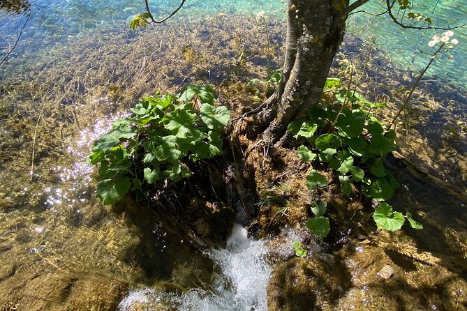 Plitvice private tour driver + guide up to 8 ppl from Zadar - Is $504.64 Good Value for Eight People?