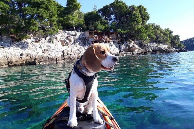 'Pomalo' Guided Sea Kayaking Tour in Cavtat - What the Pomalo idea means on the water