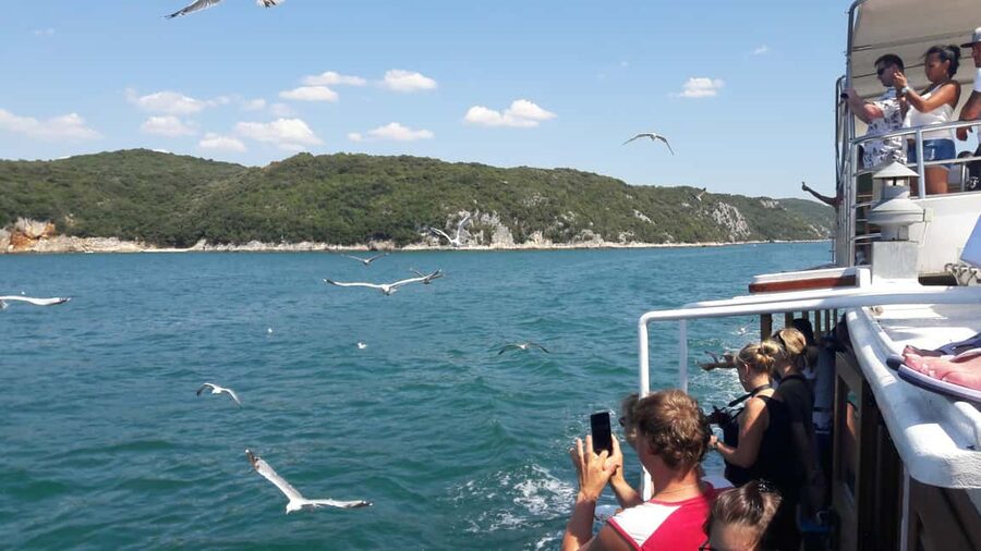 Poreč: Boat tour to Rovinj with lunch and drinks - The best parts of the Poreč to Rovinj boat day