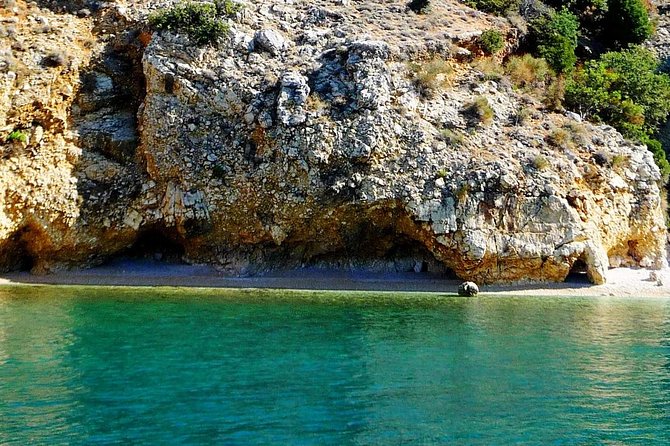 Private 7,5h Plavnik Island & Wild Bays Full-day Boat Trip - A captain-led experience, not just a boat transfer