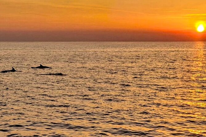 Private Boat Tour with activities in Pula Croatia - The return ride along Pula’s coast