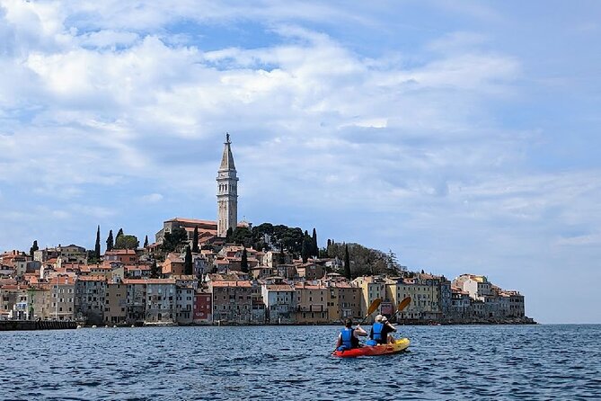 Private Boat Tour with Skipper - Dolphin Safari: exciting, but not guaranteed