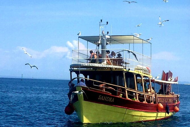 Private Boat Trip with Sandra Boat Medulin, Kamenjak, Ceja - Family suitability and swimming demands