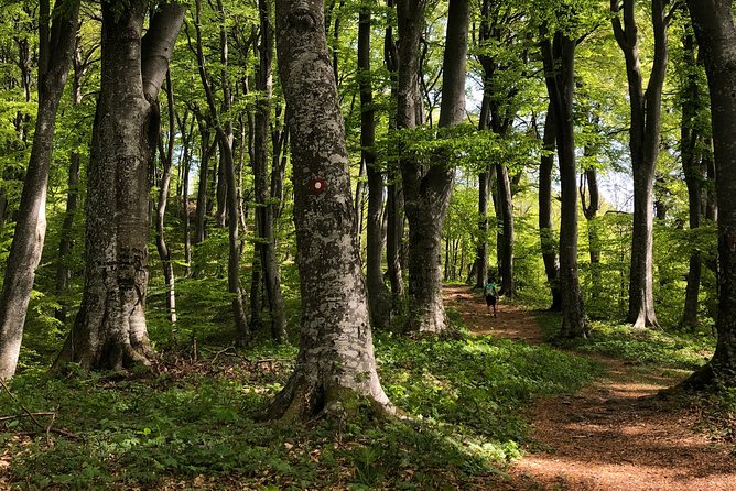 Private eclectic hiking experience of Samobor Hills - What you receive for $216.74 per person