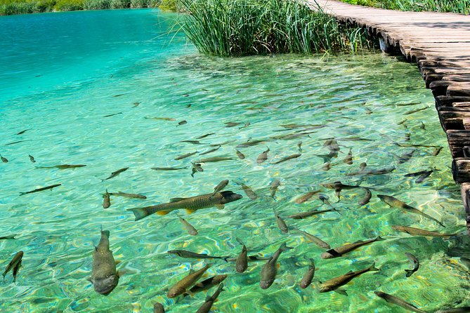 Private experience of Rastoke and Plitvice Lakes from Zagreb - The picnic is more than a packed lunch