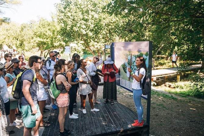 Private Full-Day Krka Waterfalls Tour with Wine Tasting - Leaving Split along the Dalmatian coast