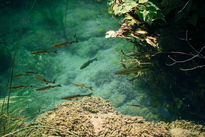 Private Full-Day Krka Waterfalls Tour with Wine Tasting - Krka National Park and its old eco-village