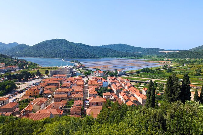 Private Full Day Peljesac Wine Tasting Tour from Dubrovnik - The food choices: lunch, oysters, or both