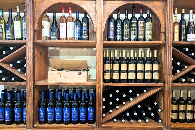 Private Full Day Peljesac Wine Tasting Tour from Dubrovnik - What the private format changes