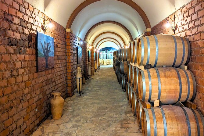 Private Full Day Peljesac Wine Tasting Tour from Dubrovnik - Practical tips for a better day