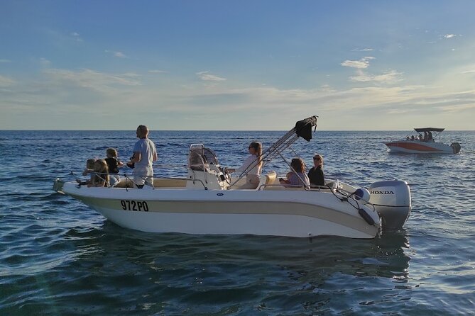 Private Guided Sunset Dolphin Watching in Adriatic Sea - Vrsar is the launch point, not Rovinj