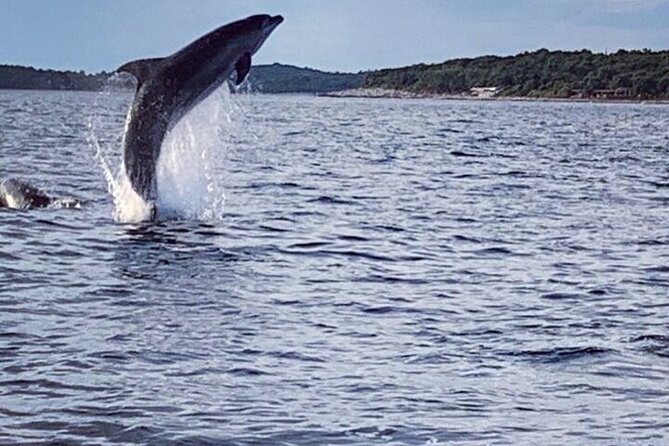 Private Guided Sunset Dolphin Watching in Adriatic Sea - Sunset, speed, and the view back toward Rovinj