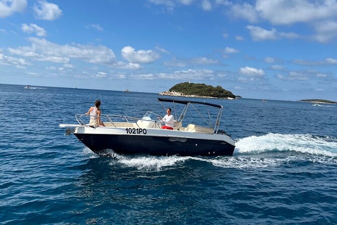 Private Guided Sunset Dolphin Watching in Adriatic Sea - What the private format changes