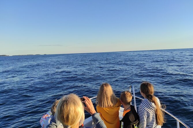 Private Guided Sunset Dolphin Watching in Adriatic Sea - The first 20 minutes: leaving the harbor and finding open water