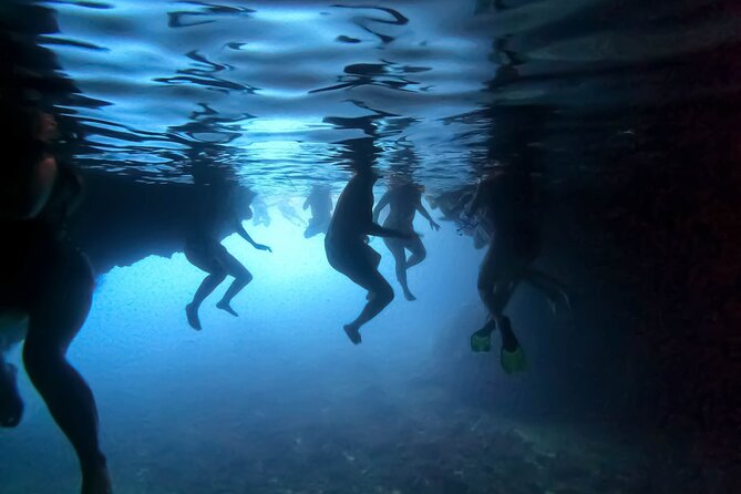 Private Half Day and Full Day Elaphiti Islands Tours - What is included, and what you still need to budget