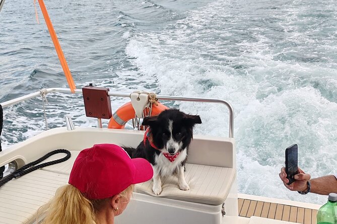 Private Half-Day Boat Excursion in Pula - Around Brijuni, then on to Stoja