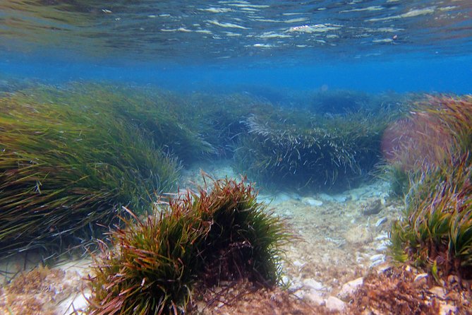 Private Half-Day Kayak Experience in Hvar and Pakleni Islands - How hard is four hours in a kayak?