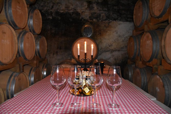 Private Hvar Wine Tasting Tour - What the three-hour Hvar wine tour feels like