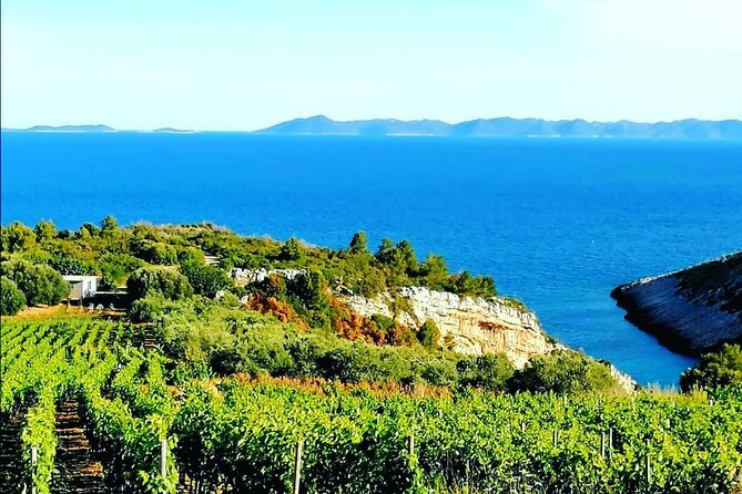 Private Korcula wine tour and tasting - The old road, sea views, and Pupnatska Luca