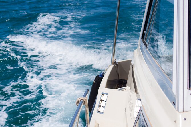 Private Sailing Tours in Zadar Archipelago - What the crew adds to the experience