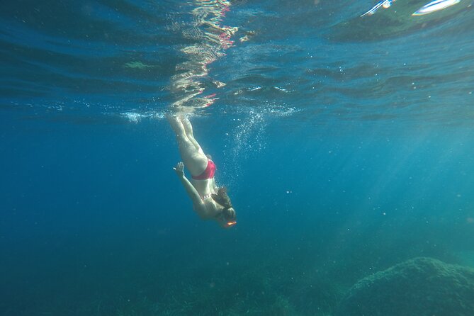 Private Sea Kayaking & Snorkeling Tour in Split - Who will enjoy this four-hour outing