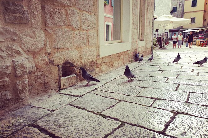 Private Sibenik Walking Historical Morning or Evening Tour - Starting near King Krešimir IV Square