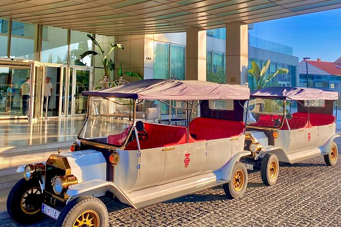 Private Sightseeing Tour in Dubrovnik with a Classic Old Car - Key points to know before booking