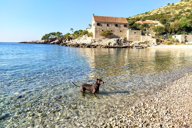 Private Speed Boat Tour of Hvar South Shore & Pakleni islands - What the Private Format Adds