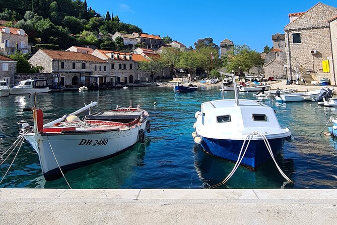 Private Speedboat Tour - Timing, weather, and what to pack