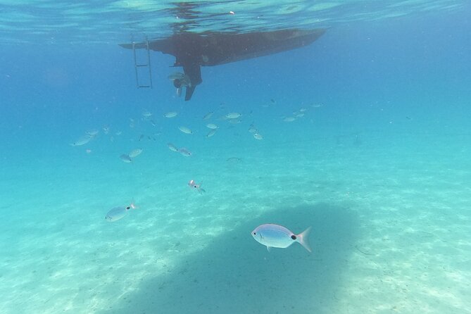 Private tour to Islands Ugljan, Ošljak and Preko from Zadar - Swimming, snorkeling, and comfort on board