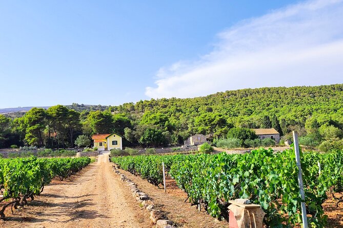 Private Wine and Gin Tour Around the Island of Korcula - What the Four-Hour Schedule Really Gives You