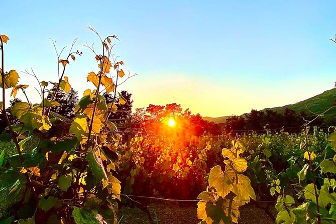 Private Wine Tasting Under The Stars With Sunset Panorama - Arriving in the Konavle Valley after dark