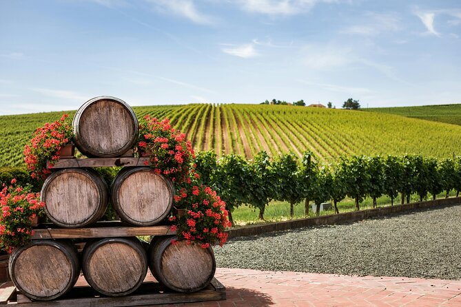 Private Wine Tour from Zagreb: Two Local Wineries & Samobor - First Winery: Cellars, Homemade Food, and Plenty to Taste
