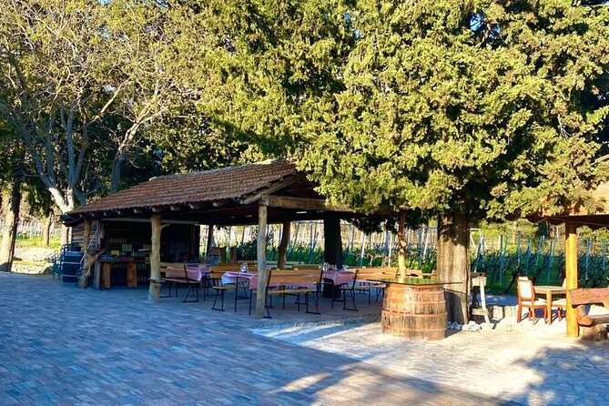 PRIVATE Wine Tour to Konavle country side - Ham, Cheese, and a Picnic-Table Lunch