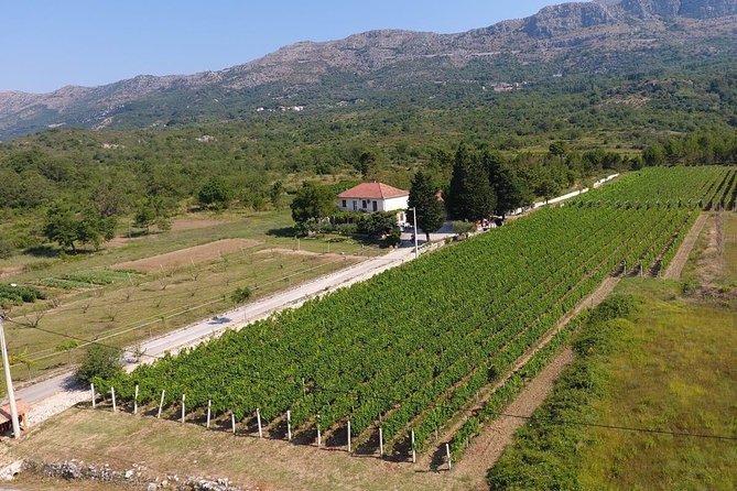 PRIVATE Wine Tour to Konavle country side - Is $180.62 Per Person Fair Value?